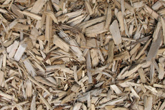biomass boilers Shortacross